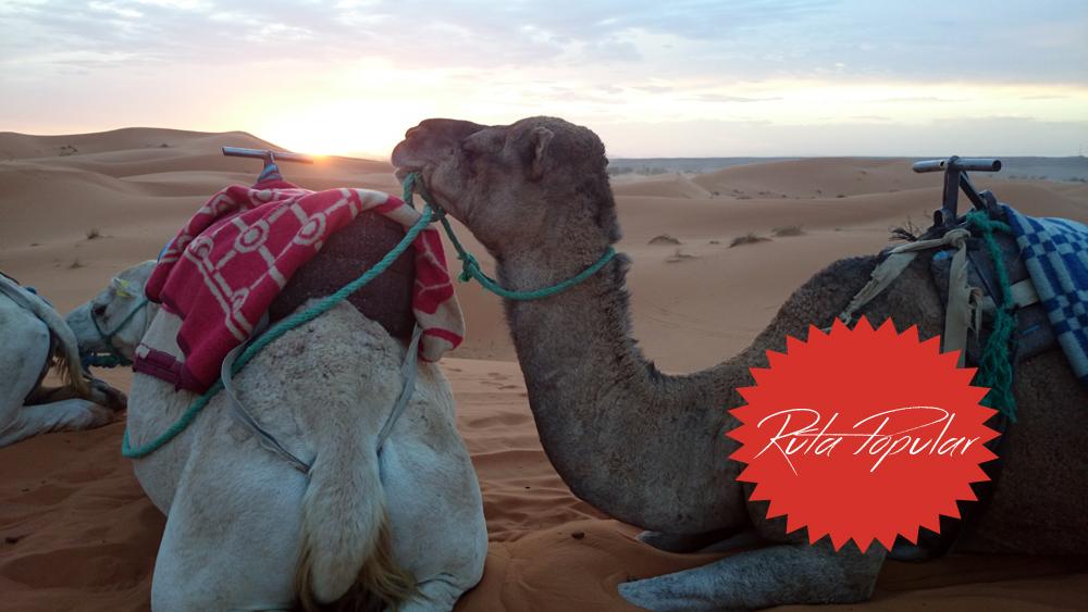 turmarruecosnet's tweet photo. No te lo pienses apúntate ya!! Ruta popular - 4 días por el desierto. #Marruecos
http://t.co/jLz39ixcj5 http://t.co/LFaPrithKL