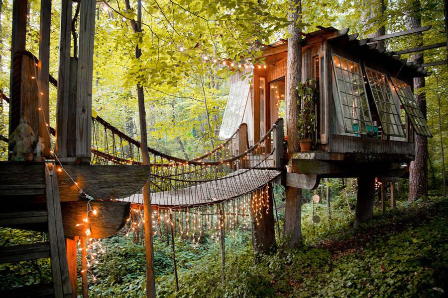 habitissimo's tweet photo. Vuelve a la infancia y construye tu propia casa del árbol como te enseña @Kaperuzita_gris http://t.co/9IVi8S2P8j http://t.co/MT4w1lMPae