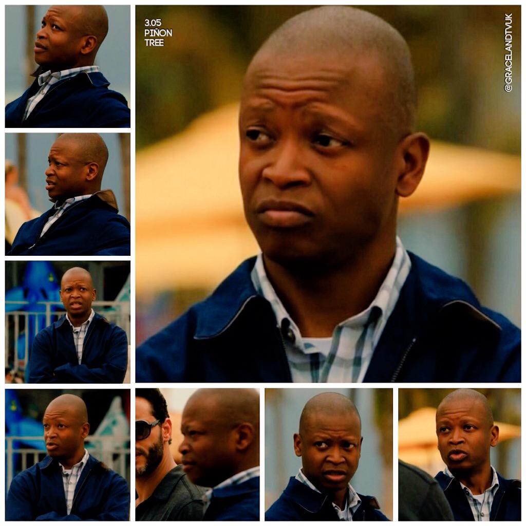 GracelandTVUK's tweet photo. Snapshots from #GracelandTV 3.05 Piñon Tree #SAICSeanLogan @gilliardl_jr #GLTree http://t.co/EN4cnlmCqZ