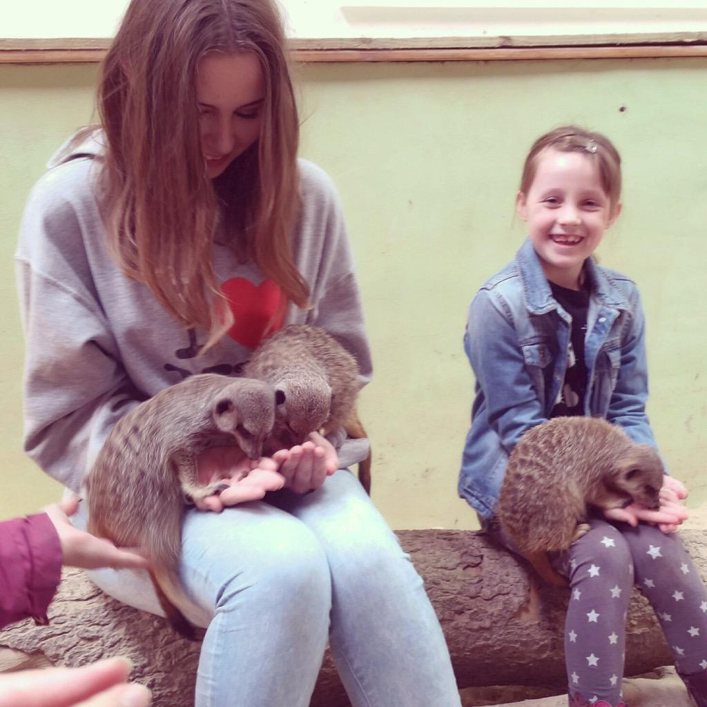KhloeverK's tweet photo. I GOT TO FEED MEERKATS http://t.co/PmvDFNYyG0