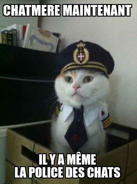 Lincompry tweet picture