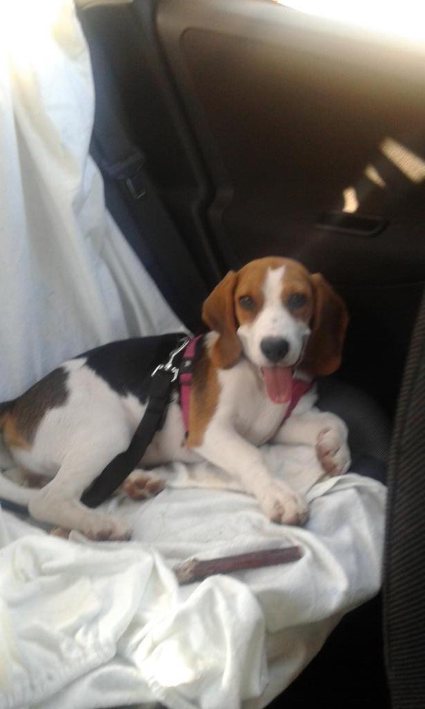 javivara90's tweet photo. Nos vamos de mini-vacaciones! #bigui http://t.co/xOCh9PbnmC