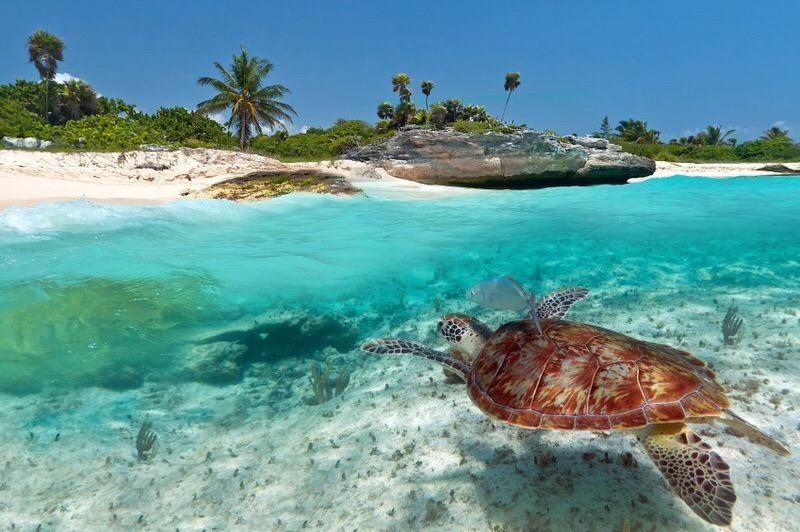 TraveIings's tweet photo. Zanzibar 🌴😍 http://t.co/jkE3wUYiGP