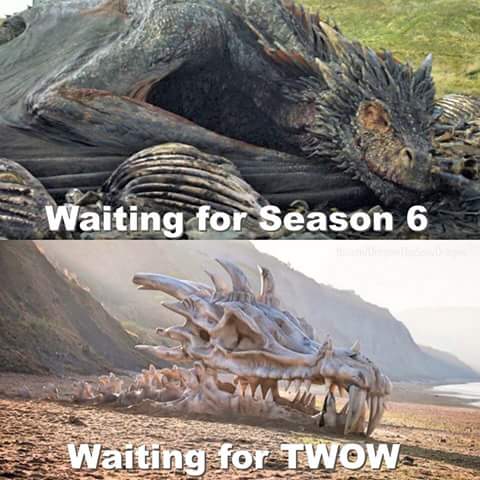 Amarel0422Ana's tweet photo. Waiting for Season 6 #GameofThrones #GOT #CatchDrogon @GameOfMemess @GameOfThrones @guiadelocio http://t.co/AxNbpIzwxP