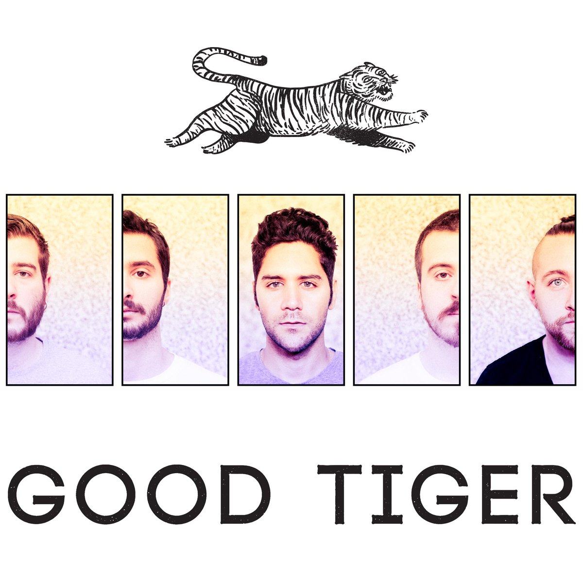 RudiRudinger's tweet photo. Surprise! We are @GoodTiger. For more information please visit http://t.co/mBz0K4Do7Y ! #goodtiger http://t.co/zNc0i5TOpL