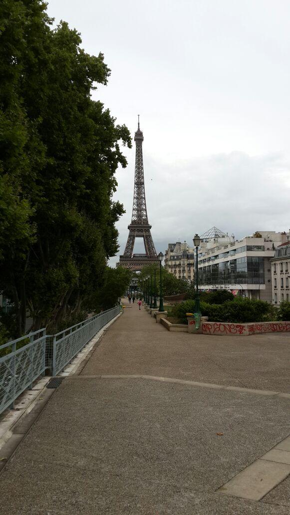 olivmitchell's tweet photo. Insane &amp; thrilling afternoon, cycling through #Paris with the very brave @stefsleg .An experience I'll never forget! http://t.co/wwWVIJ0wZt