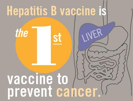 nycHepB's tweet photo. RT @AlokPatelMD: T5: Hep B can lead to cancer. Vaccines prevent Hep B. Vaccines can prevent cancer. BOOM. #abcDrBchat http://t.co/zQUtLDReHV