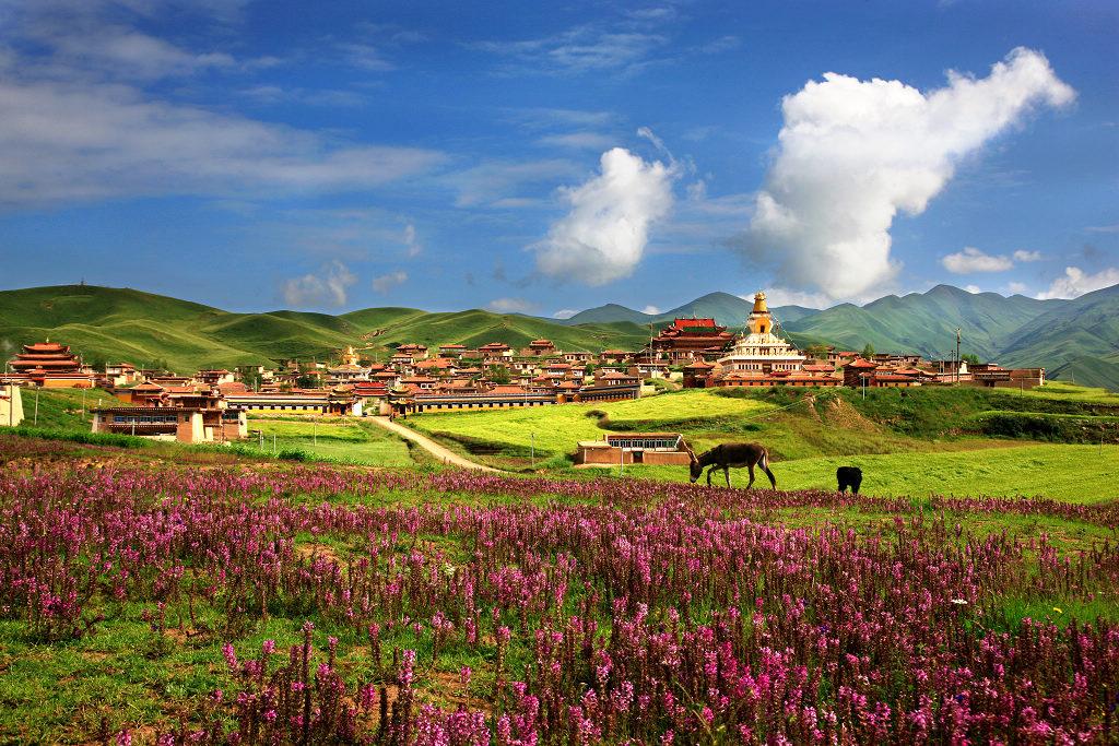 ChinaTopix's tweet photo. In Tibetan Buddhist and Hindu traditions, Shambhala is a mythical kingdom hidden somewhere in Inner Asia.  #Tibet http://t.co/eYEkdHrqnW