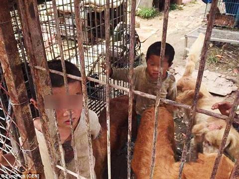 20Minutes's tweet photo. Chine: Retrouvés dans une cage, deux enfants abandonnés vivaient avec des chiens http://t.co/7LeEQzF8CK http://t.co/vEG3uLoQGO