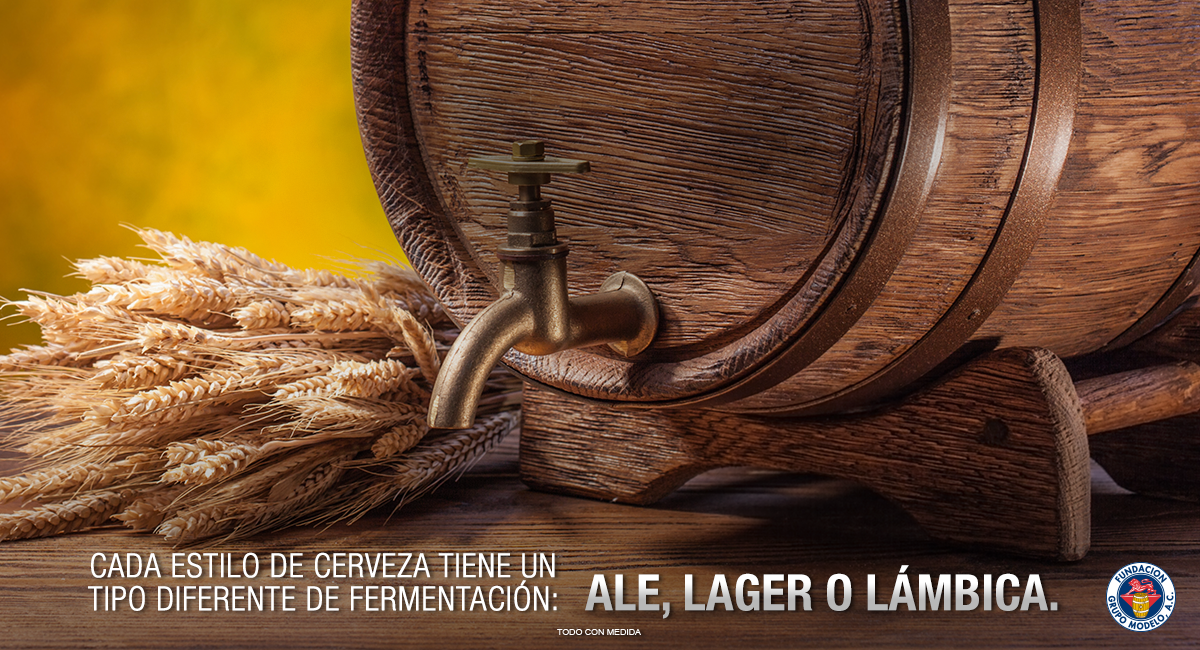 ConsumidorModel's tweet image. #DatoModelo Cada cerveza es diferente y el tipo de fermentación define su color, aroma y sabor. #ConsumoResponsable