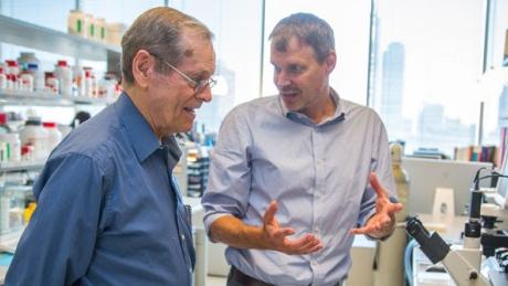 So proud to show Jim Till the lab"@CBCTechSci: U of T gets $114M grant for stem cell research ift.tt/1JOPmQp "