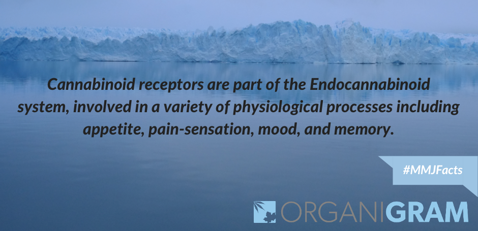 Organigram_Inc's tweet photo. #Cannabinoid receptors are found predominantly in the brain and immune system respectively #MMJFacts #MMPR #MMJ http://t.co/TLMwSn9bU7