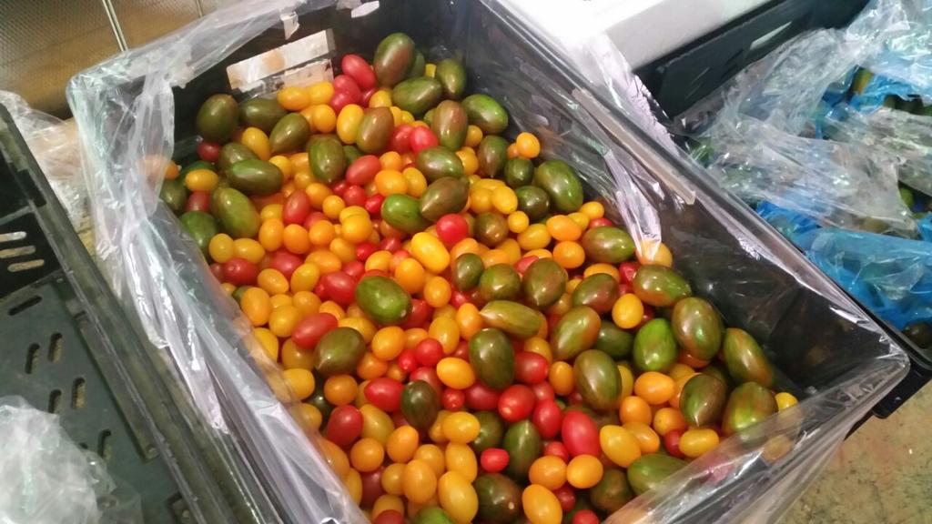 Herbtanical's tweet image. #hierloom cocktail tomato.