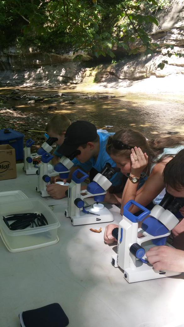 BelmontSWCD's tweet photo. Conservation Field Days participants learning about macroinvertabrates and water quality monitoring at Captina Creek http://t.co/zYb3UXxVvZ