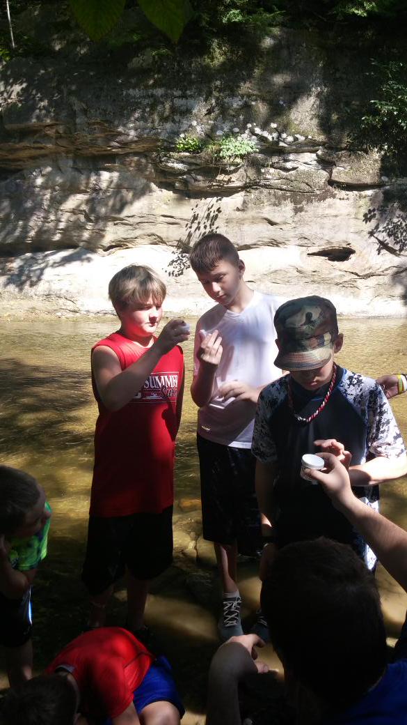 BelmontSWCD's tweet photo. Conservation Field Days participants learning about macroinvertabrates and water quality monitoring at Captina Creek http://t.co/zYb3UXxVvZ