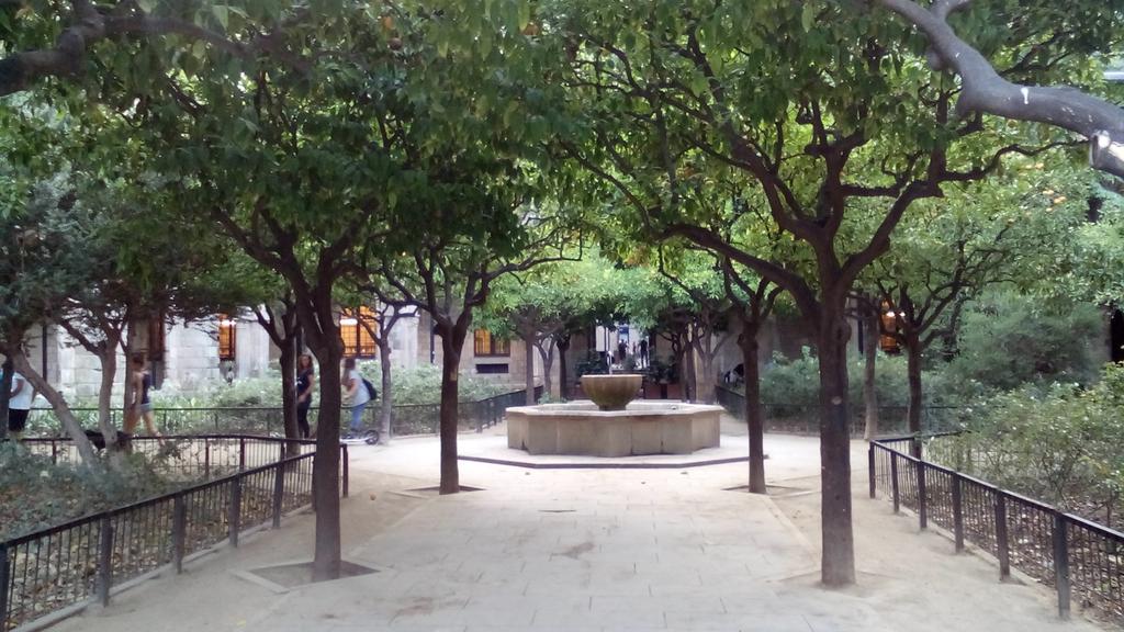 En la Biblioteca Sant Pau del Raval puedes encontrar el <a href="/CafeamblletCAT/">Cafèambllet</a> 11° edición