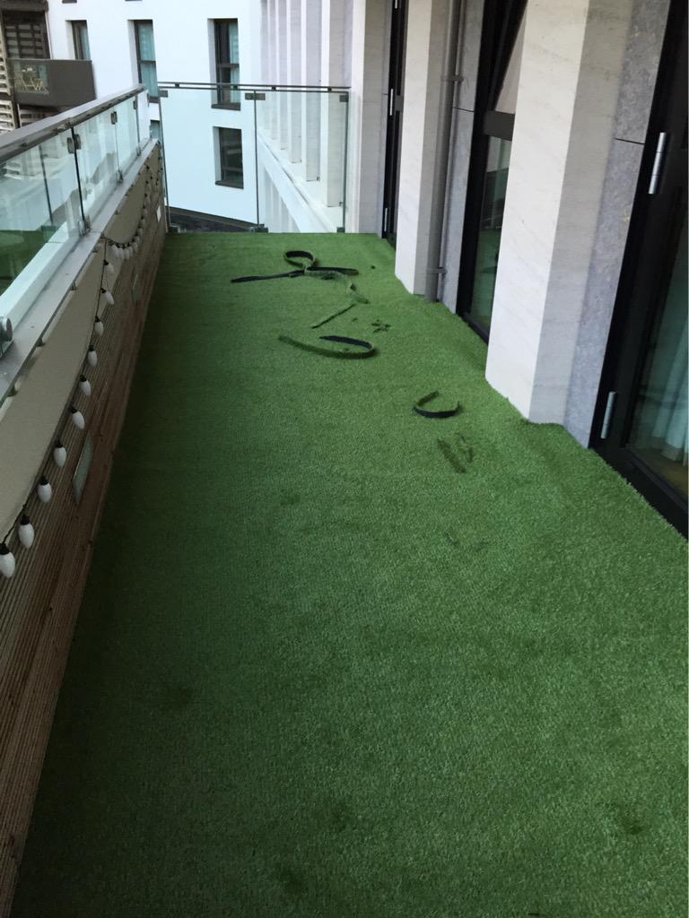 Troodles2011's tweet image. Door clearance problems.. #iwantgrassonmybalcony #doorproblems