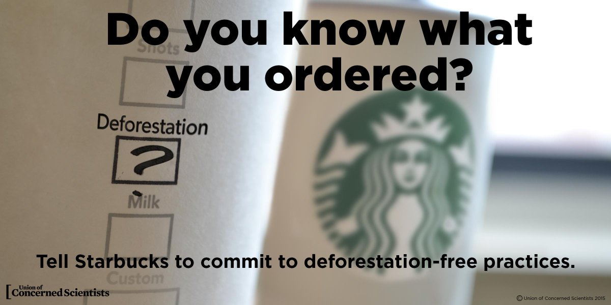UCSUSA's tweet photo. For #GlobalTigerDay, RT to tell @Starbucks to go #DeforestationFree to protect #climate and endangered species. http://t.co/4aQvH8cYAt