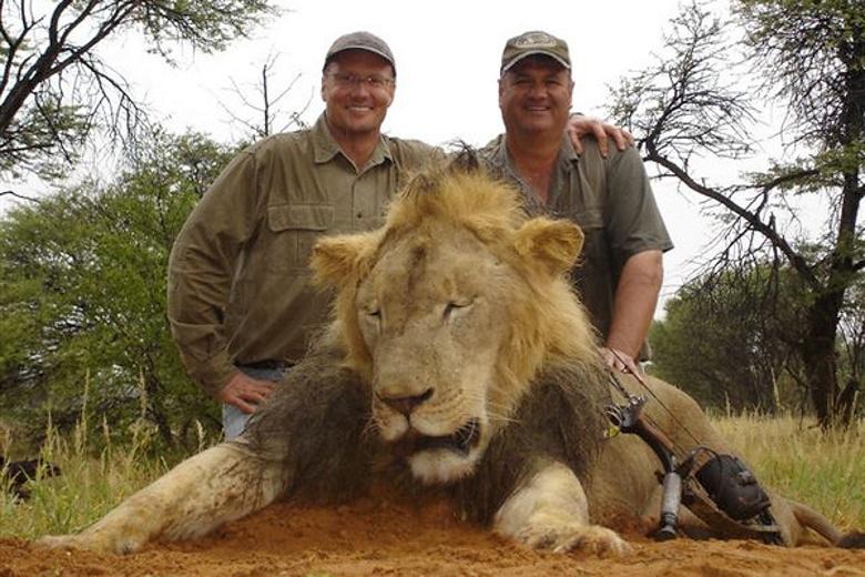 thetimes's tweet photo. Named and shamed: the US dentist who paid to hunt #CecilTheLion with a bow http://t.co/il2Nzwp9rs http://t.co/YVOBhQn5Cz