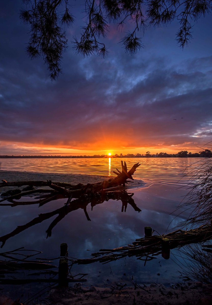 lonelyplanet's tweet photo. Great shot MT @DAshleyphoto: #Sunrise on the #Swan River WA #Australia  http://t.co/hwJt761jjx #lp #travel