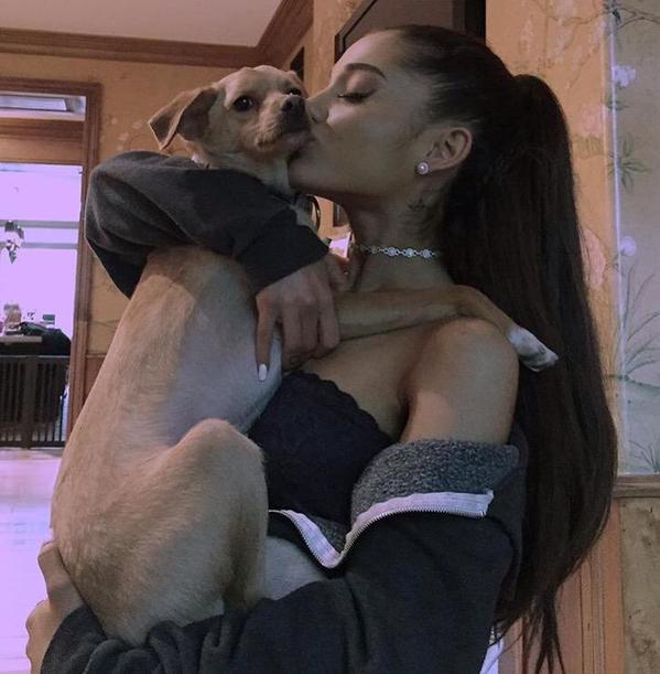 Grandeworldnews's tweet photo. congrats to @ToulouseDaDog !!! @Coach should be so proud of you!
@ArianaGrande http://t.co/Jz9EIZdY49