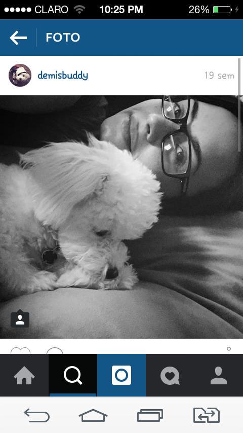 PortalDemiVEVO's tweet image. "Se você tem um animal, por favor não esquece de amá-lo e valorizá-lo, pq eles podem ir embora em instante...