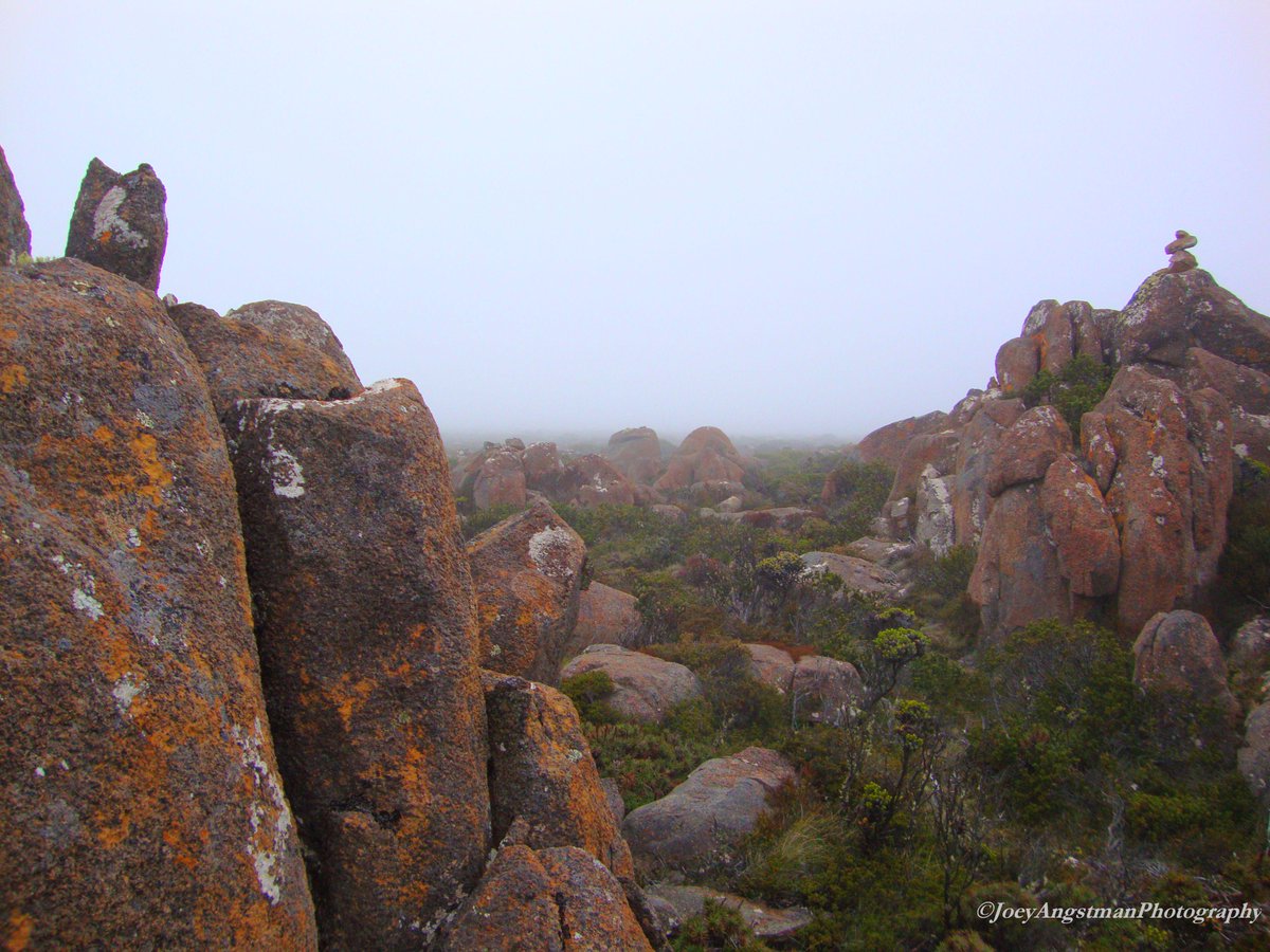 Joeyism27's tweet photo. Foggy Peak of Mt. Wellington Tasmania, Australia. @Flickr #TwitterTuesday #Forsaken http://t.co/BHt7SBTlSE