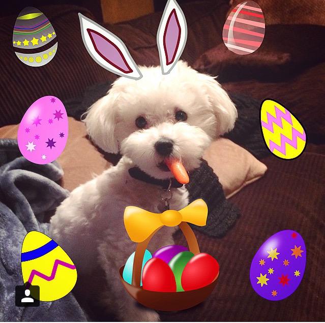 camiladetails's tweet photo. aquele momento que vc percebe que nunca mais vai ter foto assim, eu to bem mal 😔💔 #RIPBuddy http://t.co/JJTIiKV5pY