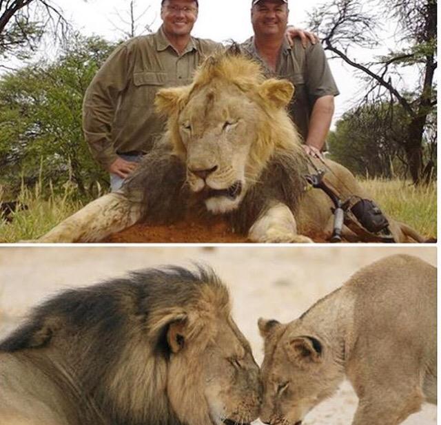 SaraaaNovaaa's tweet photo. Can we all agree this selfish dumb*** deserves to be murdered after what he's done? 😡💔 http://t.co/l59CTqFfcS