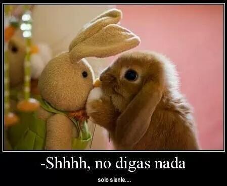 DadTeddyBeer's tweet photo. Sin miedo y sin sentimientos, solo sexo casual... 🌚 http://t.co/MFVO6xPmOX