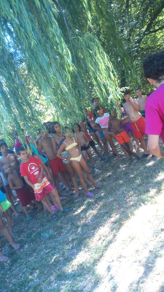 LucerOcio tweet media