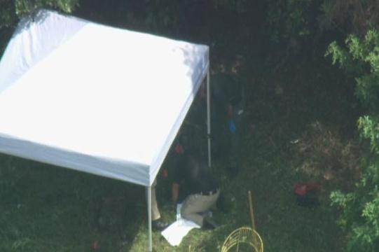 Skeletal remains found in wooded area near Port Everglades bit.ly/1KvV67f http://t.co/114kiVvsRQ