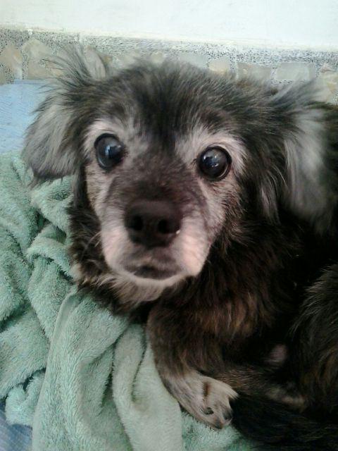 Vero Ferrara (@veris28) on Twitter photo 