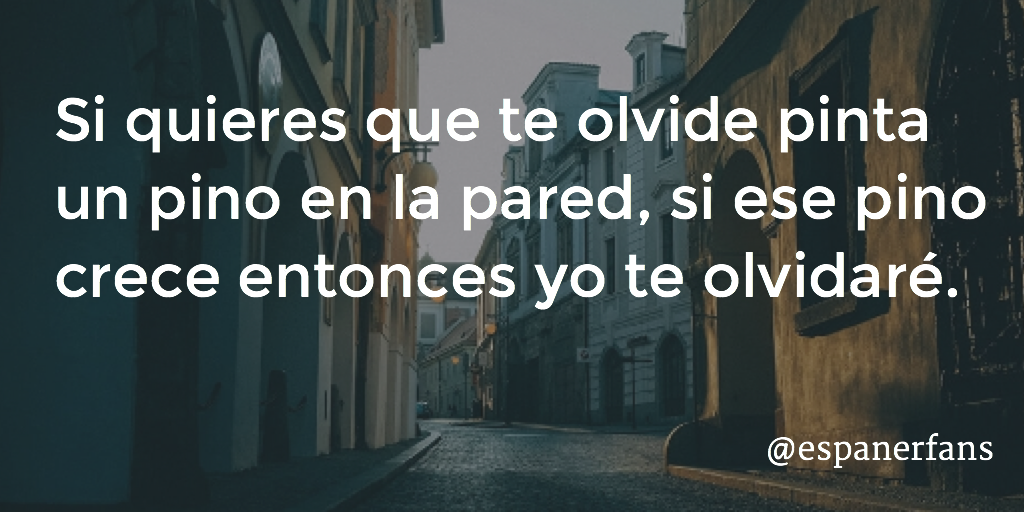espanersfans's tweet photo. Si quieres que te olvide pinta un pino en la pared, si ese pino crece entonces yo te olvidaré. http://t.co/0kYPesTF0C