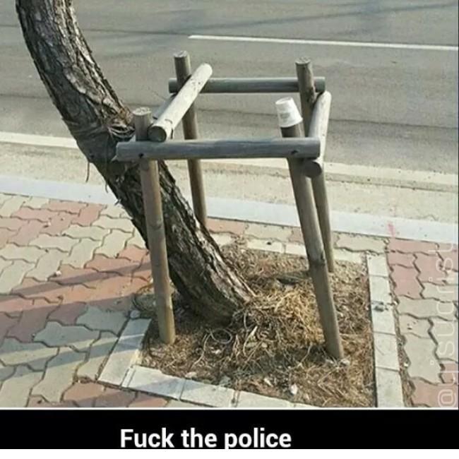 jezucrihto xd tweet media