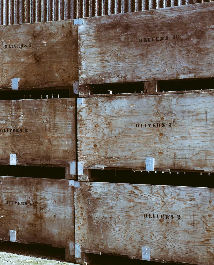 Excited to be stocking Red Dead Strawberry Cider from <a href="/oliverscider/">Tom Oliver</a> to quench the thirst of revellers <a href="/HayDayFestival/">Hay Day Festival</a>