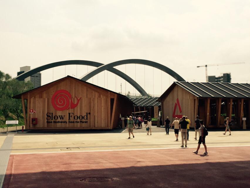 Giorgio Pollastrelli tweet media