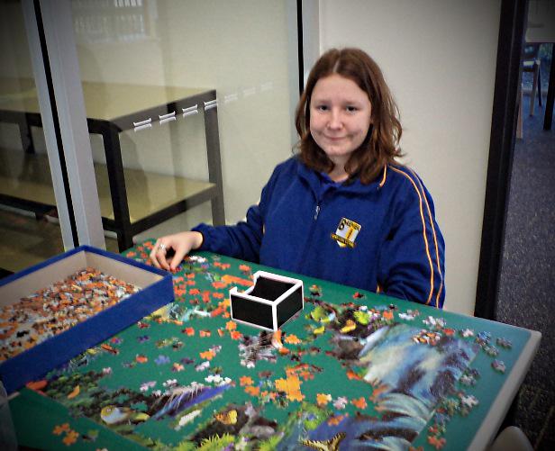BremerSHS's tweet photo. A variety of activities are available to students in the Bremer SHS library.  Pop in and see what's on offer for you! http://t.co/8pw7h2IDsg