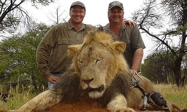 WellyTopping's tweet photo. I believe that #CecilTheLion deserved better than this, let's end senseless #TrophyHunting now. http://t.co/7QYjxTuz2J