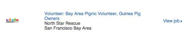 kecatlin's tweet photo. Why? I’m not a pet owner. I’ve never discussed guinea pigs online. Yet @LinkedIn recommends this job to me #BadMatch http://t.co/OsQNOuzKLU