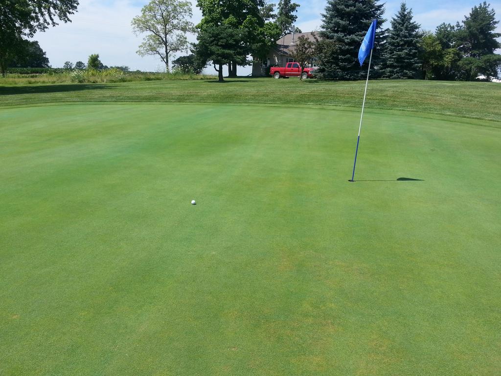 jjtopps's tweet photo. For eagle at Demor hills golf course.  On a par four.  And yes i made it.. http://t.co/CNK82kkrUQ