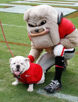 BracketBattles1's tweet photo. Greatest Mascot of All Time
• ROUND OF 32 •

RT ~ Uga
Fav ~ Sparty http://t.co/xkvHg1wJLJ