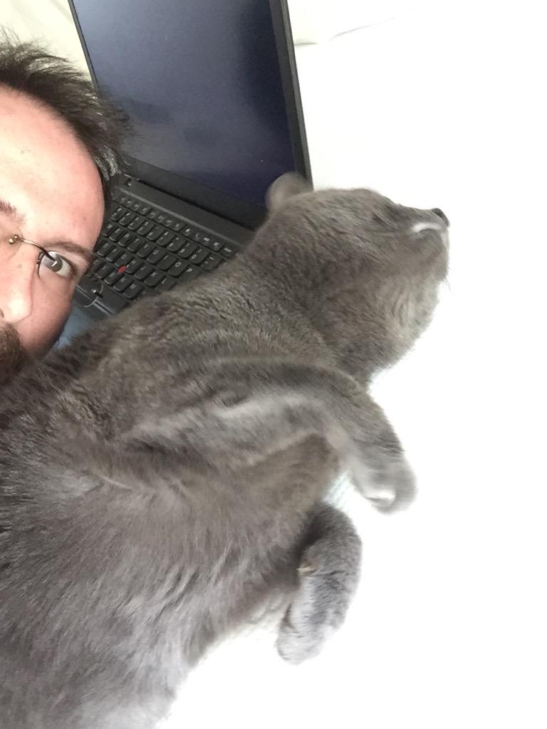tsantero's tweet image. #purrprogramming