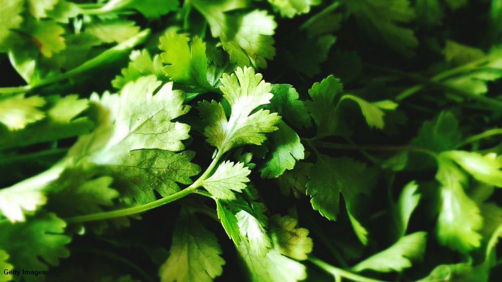 ABC's tweet image. Some Mexican cilantro has been banned due to parasite-linked disease with flu-like symptoms: abcn.ws/1expHmz