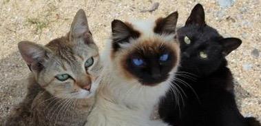 danederadcliffe's tweet photo. @dxhaans http://t.co/RZbFbzdXXi