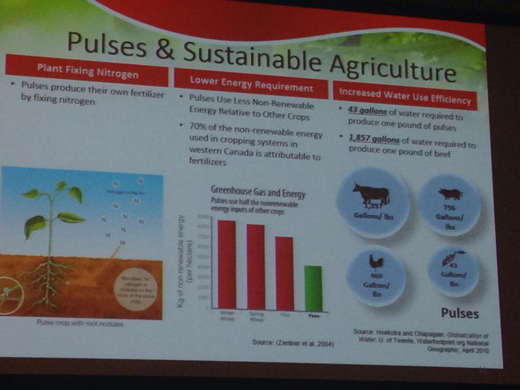 ChrisBlanchard_'s tweet photo. Peter Wilson: Pulses are a sustainable option #agic2015 http://t.co/LzcNSEs05G