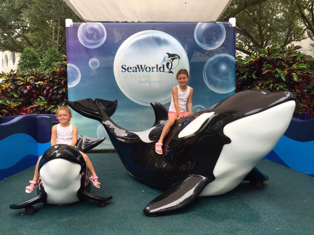 roblkirk's tweet image. Fantastic day @SeaWorld today #Celebrating50Years #Conservation #OrcaProject #RubyandPoppy #KirkFlorida15