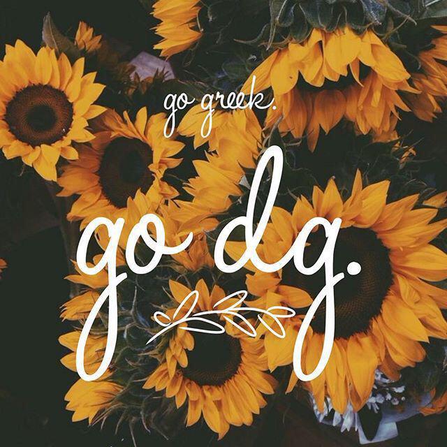 UTTDeltaGamma's tweet photo. Go Greek because we only have one more month 🎉 @uttylerPan http://t.co/yK9sXORoph