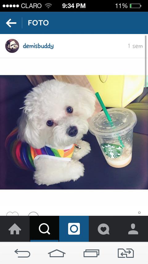 PortalDemiVEVO's tweet image. Você era tão especial para o nosso fandom &amp;lt;3 nunca vamos esquecer de você baby 😢😢 eu não consigo acreditar #RIPBuddy