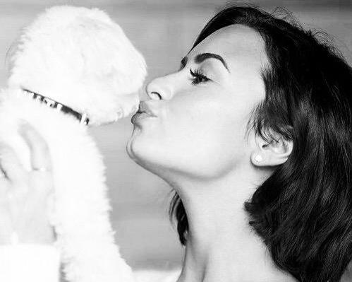 PortalDemiVEVO's tweet image. "Eu nunca esquecerei do nosso anjo, Buddy e seu espírito amoroso e gentil vai viver em nossos corações pra sempre!".